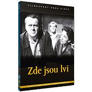Here are the Lions - DVD - DVD Film