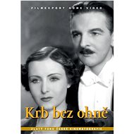 Fireplace without fire - DVD - DVD Film