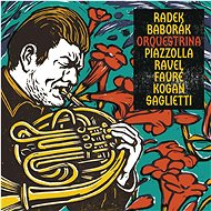 Baborák Radek: Orchestra (2014) - CD - Music CD
