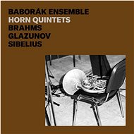 Baborák Ensemble: Horn Quintets - CD - Hudební CD