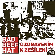 Bad Beef Hat: Healing to Madness - LP - LP Record