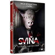 Pig - DVD - DVD Film