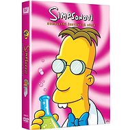 The Simpsons: Season 16 - DVD - DVD Film