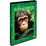 Chimpanzees - DVD - DVD Film