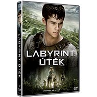Labyrinth: Escape - DVD - DVD Film