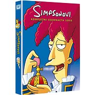 The Simpsons: Season 17 - DVD - DVD Film
