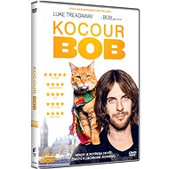 Cat Bob - DVD - DVD Film