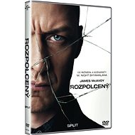 Rozpolcený - DVD - Film na DVD