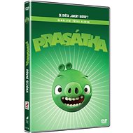 Angry Birds: piglets season 1 - DVD - DVD Film