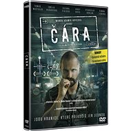 The Line - DVD - DVD Film