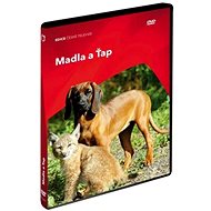 Handles and Tap - DVD - DVD Film