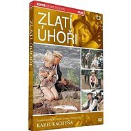 Golden Eels - DVD - DVD Film