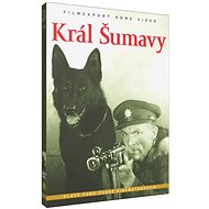 King of Sumava - DVD - DVD Film