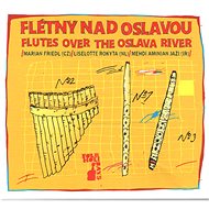 Flutes nad Oslavou: Folk Holidays - LP - LP Record