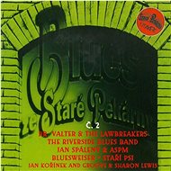 Various: Blues ze Staré Pekárny No. 2 - CD - Music DVD