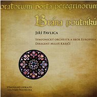 Pavlica Jiří: The Pilgrim' s Gate (CD + DVD) - CD - Music CD