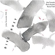 Šuranská Jitka Trio: Wild Geese - CD - Music DVD