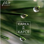 Flair Ensemble: Drop by Drop - CD - Music CD