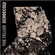 The Fellas: Scarecrow - LP - LP Record