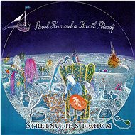 Hammel Pavol and Currents: meeting with silence - LP Record