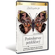 Parsnip - DVD - DVD Film