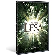 Secrets of the Forest - DVD - DVD Film