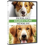 A Dog's Purpose 1+2 (2DVD) - DVD - DVD Film