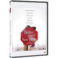 Rainy Day in New York - DVD - DVD Film