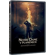 Notre-Dame in Flames - DVD - DVD Film