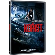 Booty - DVD - DVD Film