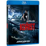 Prey - Blu-ray - Blu-ray Film