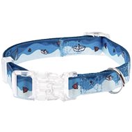 Ferribiella Water World Collar - Dog Collar