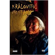 Kingdom of Mustang - DVD - DVD Film