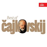 Various: Best of Tchaikovsky - Music CD