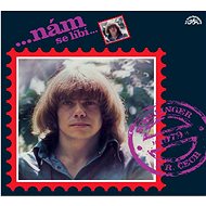 Schelinger Jiří, Čech František Ringo:. nám se líbí. - LP - LP Record
