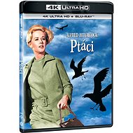 The Birds (2 discs) - 4K Ultra HD + Blu-ray - Blu-ray Film