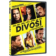 Wild - DVD - DVD Film