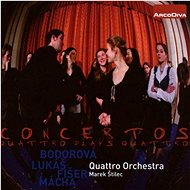 Štilec Marek: Quattro Plays Quattro - CD - Music CD