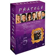 Friends - Season 5 (4DVD) - DVD - DVD Film