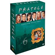 Friends - Season 6 (4DVD) - DVD - DVD Film