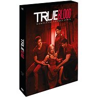 True Blood Season 4 (5DVD) - DVD - DVD Film