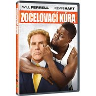 Healing treatment - DVD - DVD Film