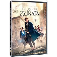 Fantastic Beasts and Where to Find Them - DVD - DVD Film