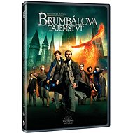 Fantastic Beasts: Dumbledore's Secret - DVD - DVD Film