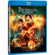 Fantastic Beasts: Dumbledore's Secret - Blu-ray - Blu-ray Film