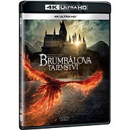 Fantastic Beasts: Dumbledore's Secret - 4K UltraHD - Blu-ray Film