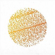 Gathering: Beautiful Distortion - Music CD