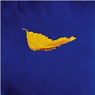 New Order: True Faith - LP Record