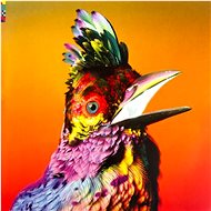Flume: Palaces - LP Record