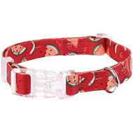 Ferribiella Watermelon collar - Dog Collar